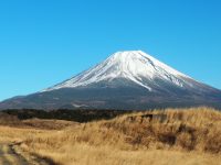 No.111　富士山とすすき