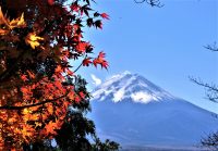 No.073　富士の冠雪と紅葉
