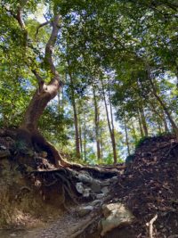 No.043 crescent moon mountain 