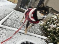 No.050 何かついてます？ 