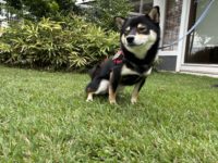 No.049 下手くそなウインク 