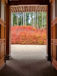 No.010 一服の絵画(吞山観音寺）