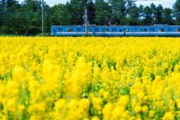 No.013 福ふくの里 