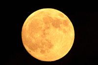 No.049　中秋の名月