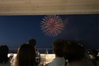 No.028　雑踏に探し求めた光の花