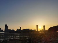 No.079　暮れゆく照葉