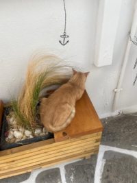 No.090　一人にさせて