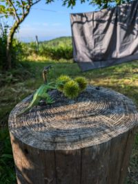 No.058　秋の訪れ