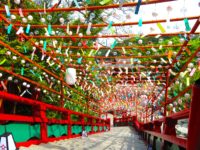 No.072　夏の風物詩