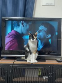 No.075　構ってちゃん