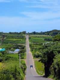 No.062　天空に続く道(呼子加部島)