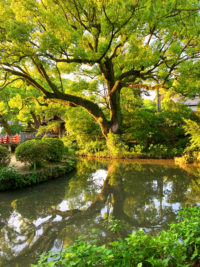 No.051　太宰府天満宮