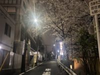No.001　東京の夜桜