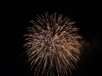 No.080　夜空の華